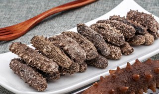 海参食用方法 海参食用方法简述