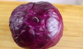 紫包菜和紫甘蓝一样吗 紫包菜和紫甘蓝是一个菜吗