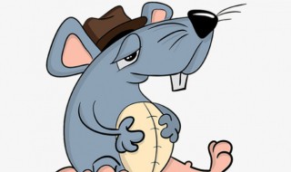 让老鼠彻底消灭方法 有什么方法消灭老鼠