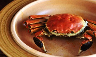 梭子蟹怎么煮才正确 煮梭子蟹方法