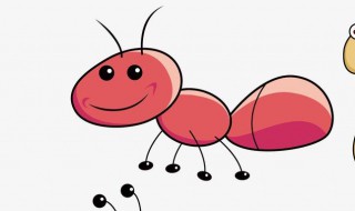 有关蚂蚁的短语 和蚂蚁有关的励志短句