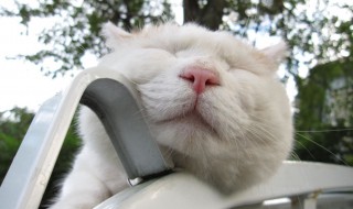 睡前小故事简短 简短的暖心睡前小故事