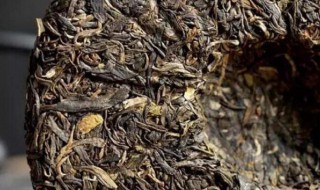 普洱茶饼怎么保存 普洱茶饼的保存方法