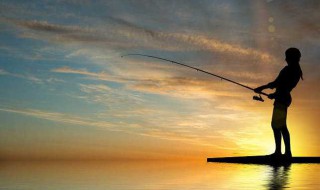 绿豆面怎么做饵料 绿豆面做饵料教程