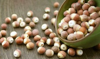 鸡头米怎么保存 怎样保存鸡头米