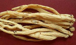 党参怎么保存 党参的保存方法