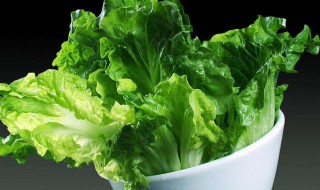 青菜怎么保存 买回家的青菜怎么保存