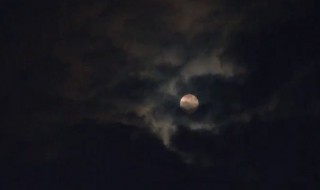 夜很静很美的经典句子 夜很静很美的经典句子列述