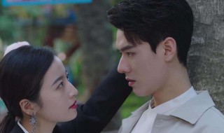 从结婚开始恋爱播出时间 电视剧从结婚开始恋爱介绍