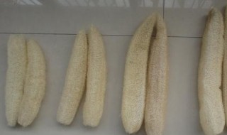 丝瓜络有哪些神奇的妙用你知道吗 丝瓜络神奇的妙用简述