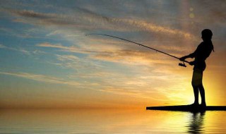 钓鱼用什么打窝最好 钓鱼用什么打窝比较好