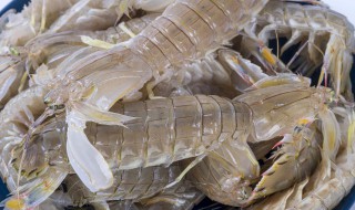 皮皮虾要怎么做 皮皮虾好吃的做法