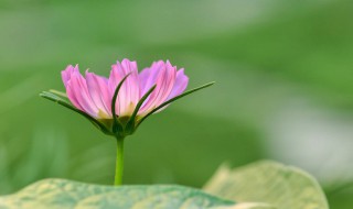 周末暖心的短句 周末暖心的短句集锦