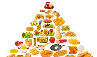 低蛋白食物有哪些 低蛋白饮食有什么