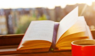 表白墙经典语录 表白墙的经典语录精选