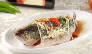 哪些鱼适合清蒸 适合清蒸的鱼有哪种