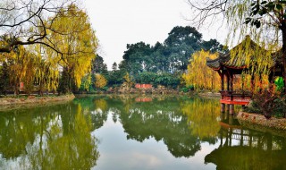 描写景物的好句 描写景物的好句列述