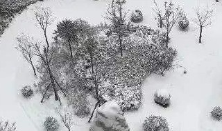 瑞雪兆丰年的瑞是什么意思 瑞雪兆丰年的瑞意思是什么