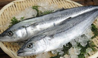 大鲛鱼怎么做 大鲛鱼的做法