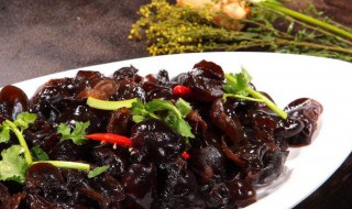 木耳怎么吃正确 木耳吃法