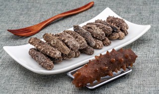 海参泡发后怎么保存 泡发的海参如何储存