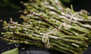 新鲜石斛怎么保存 这样保存最佳