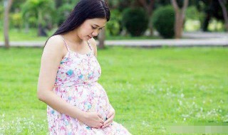 怀孕哪些水果不能吃 怀孕哪些水果不可以吃