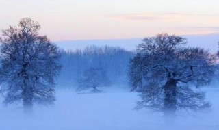 关于冬天的好句 关于冬天的好句有哪些