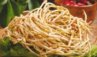 新鲜的鱼腥草怎么保存 如何保存新鲜的鱼腥草