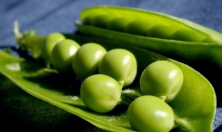 青豆怎么保存 如何保存青豆