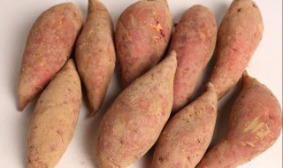 地瓜怎么保存不发芽 地瓜如何保存才不发芽