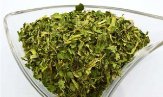 香菜干的晒制方法 香菜怎么晒干