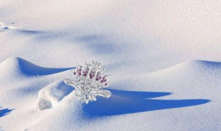 形容瑞雪的句子 描写瑞雪的优美句子