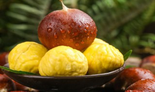 生板栗怎么保存久一点 生的板栗怎么保存才不会坏掉