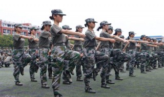 踏步走训练技巧 有什么训练的动作要领