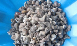 菱角晒干保存方法 它可以晒干保存吗