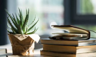 书声琅琅类似的词语 书声琅琅类似的词语列述