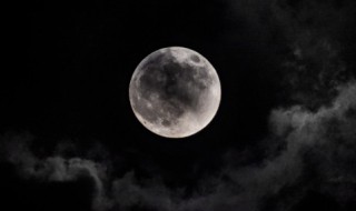 月什么星什么的成语 月什么星什么的成语精选