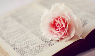 网红句子简短 有什么网红句子