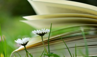 博什么什么什么的成语 博什么什么什么的成语有什么