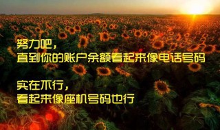 心灵鸡汤经典励志语录 心灵鸡汤经典励志语录分享