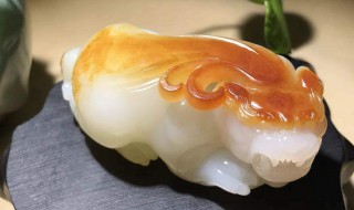 十大镇宅动物 什么动物镇宅