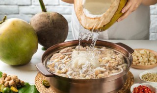 海南椰子鸡制作方法 如何做椰子鸡