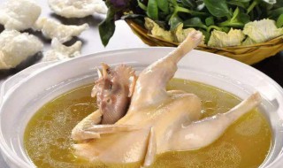 大厨清炖鸡方法 大厨清炖鸡方法分享