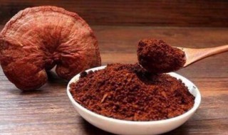 什么是灵芝孢子粉 有什么作用