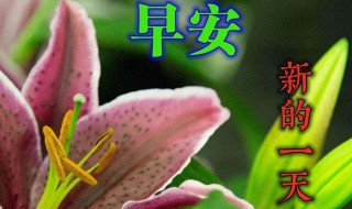 2020年心态正能量 心态正能量分享