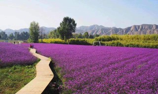 兰州有哪些好玩的地方 兰州有什么好玩的地方