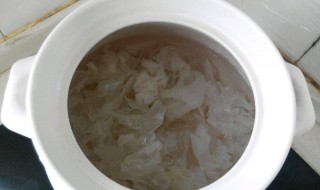 银耳怎么煮 怎么煮银耳