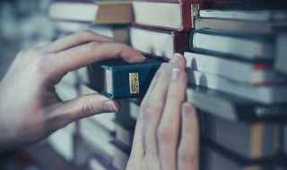 杨花落尽子规啼中的子规指的是什么 杨花落尽子规啼出自哪里