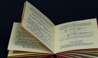 7字很暖心的情话 7字很暖心的情话怎么说